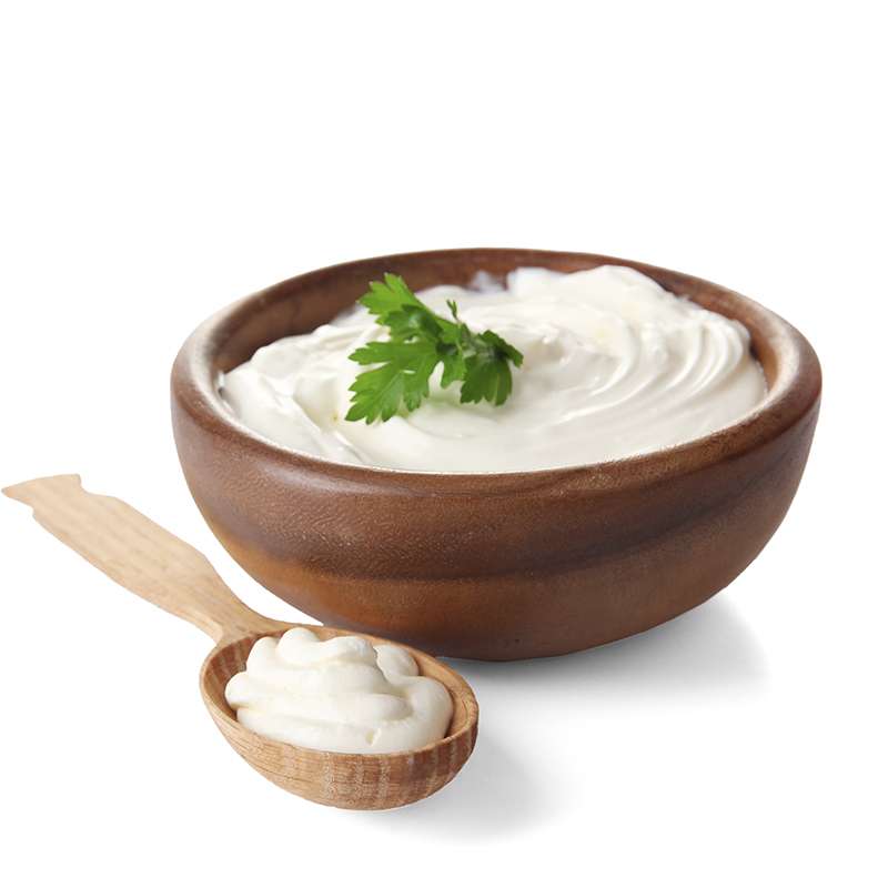 Comprar Fermento yogurt búlgaro original 1 sobres Génesis Probióticos