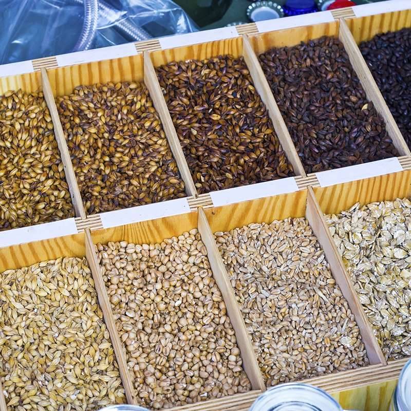 Elaboracion De Los Distintos Tipos De Malta Www Cocinista Es